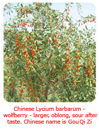 wolfberries