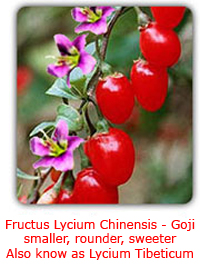 goji berries