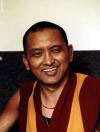 lama